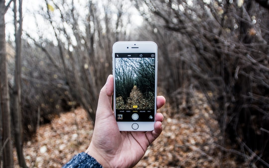 Article de test