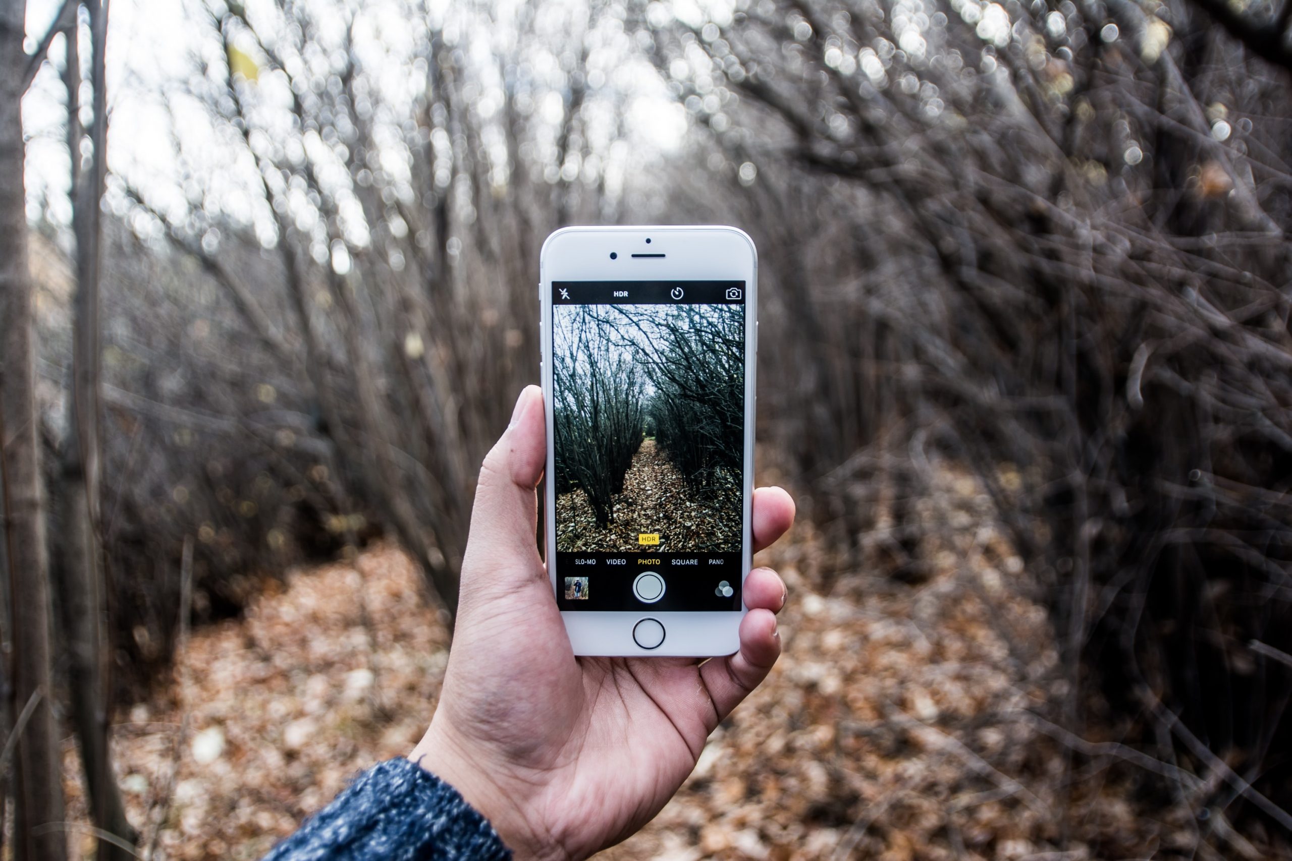 bantersnaps-h34WJ4T9uhw-unsplash